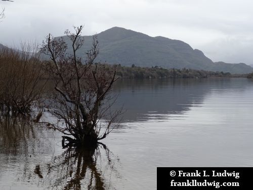 Lough Leane